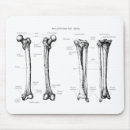Search for human anatomy mousepads Skeleton