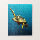 Recherche de tortues puzzles Sous la mer