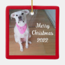 Search for scarf ornaments Adorable