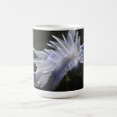 Search for nudibranch mugs Scuba