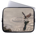 Search for bird hunting electronics Raptor