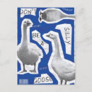 Recherche de stupide cartes postales Oie stupide en liberté