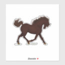 Search for colt bumper stickers Equine