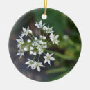 Search for blossom ornaments Floral