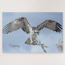 Search for birds of prey puzzles Photograph