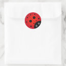 Search for lady beetles stickers Insect