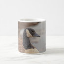 Search for canadian wildlife mugs Animal