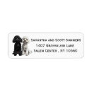 Recherche de poodle Adresse de l'expéditeur