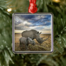 Search for rhino ornaments Cute