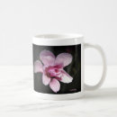 Search for steel magnolias mugs Flower