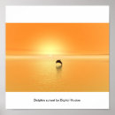 Search for dolphins at sunset posters Water