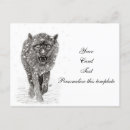 Search for the angry postcards Wild