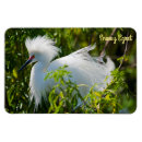 Recherche de neigeux magnets Faune