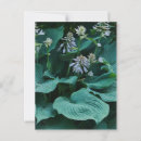 Recherche de hosta cartes postales Vert