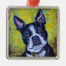 Search for boston ornaments Black