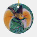 Search for birds of paradise ornaments Colourful