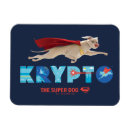 Search for krypto magnets Dc super pets
