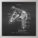 Recherche de épaule posters Physique