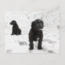Recherche de le journal cartes postales Assis