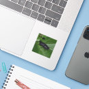 Search for lesser stickers Animal