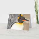 Search for cute penguin christmas cards Unique