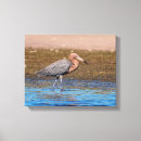 Search for egrets canvas prints Ocean