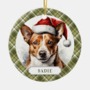 Search for basenji ornaments Puppy