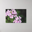 Search for mauve canvas prints Purple