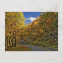Search for curving postcards Colour