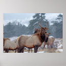 Recherche de cerf vintage posters Arrière plan
