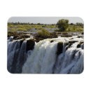Search for zambia magnets Africa
