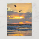 Search for beautiful morning postcards Sunrise
