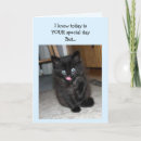 Search for black kitten birthday cards Animals