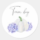 Search for boy pumpkin stickers Watercolor