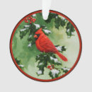 Search for male female cardinal ornaments Winter