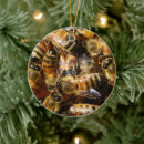 Search for honey bee ornaments Insects