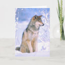 Search for timber wolf cards Dog
