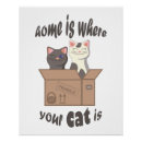 Recherche de drôle chat posters Chaton