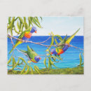 Search for australians postcards Wildlife
