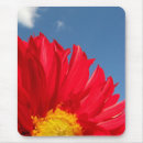 Recherche de dahlia tapis souris Fleurs