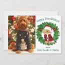 Search for golden doodle puppies cards Pet