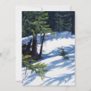 Search for sunlit cards Beautiful