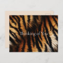 Recherche de tigre rayures cartes postales Orange