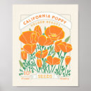 Recherche de coquelicots posters Jardinage