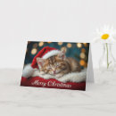 Search for kitten christmas cards Festive