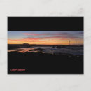Search for canaries postcards North