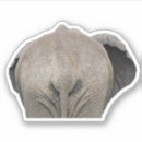 Search for funny elephant stickers Humour