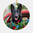 Search for german ornaments Shepard