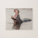 Search for hippopotamus puzzles Water