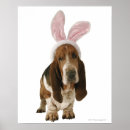 Search for easter signs Humour